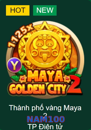 NAM100
