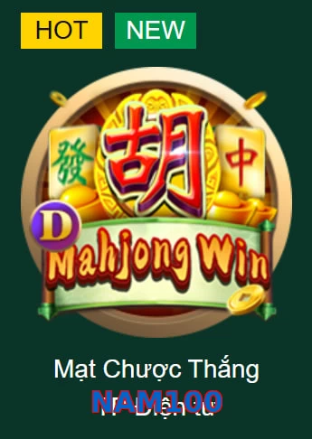 NAM100
