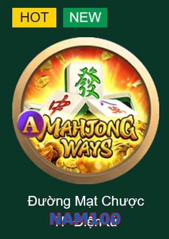 NAM100