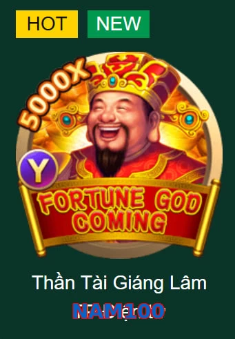 NAM100
